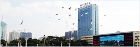 廣西糖業(yè)集團(tuán)有限公司